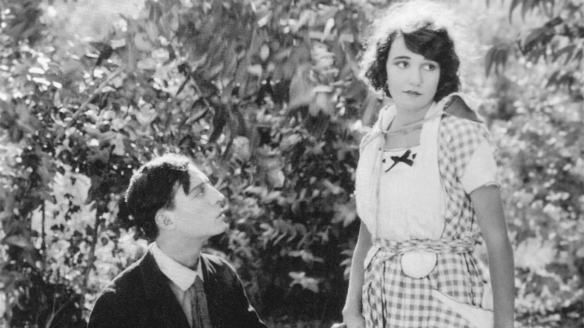 Backdrop of The Scarecrow