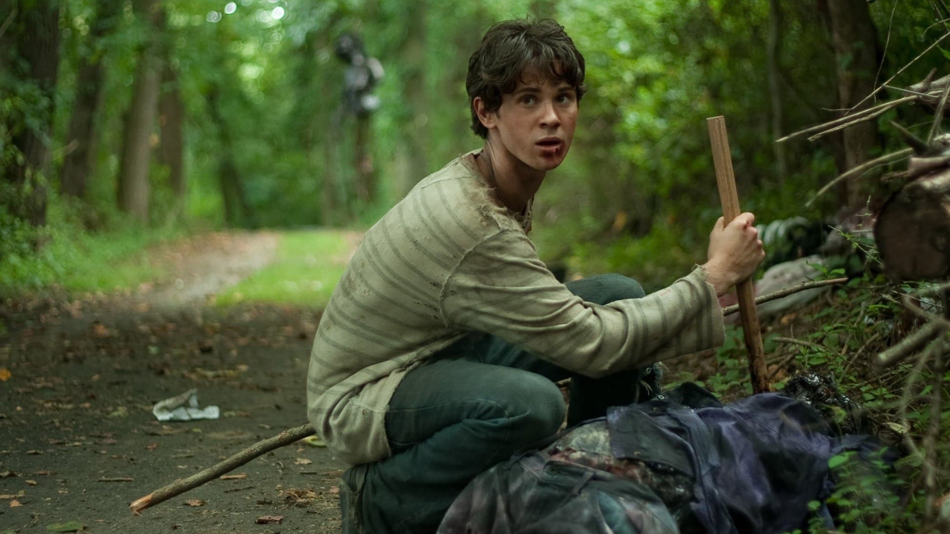 Backdrop of Stake Land