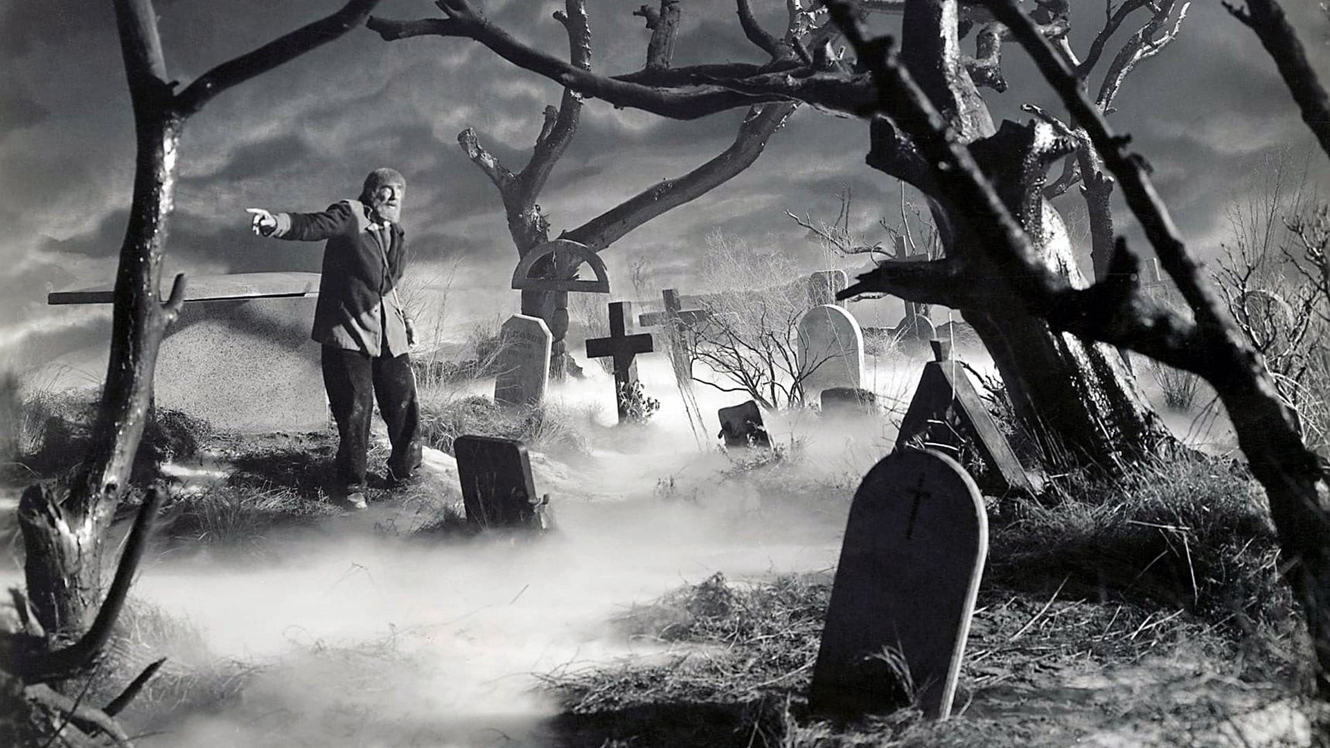 Backdrop of Son of Frankenstein
