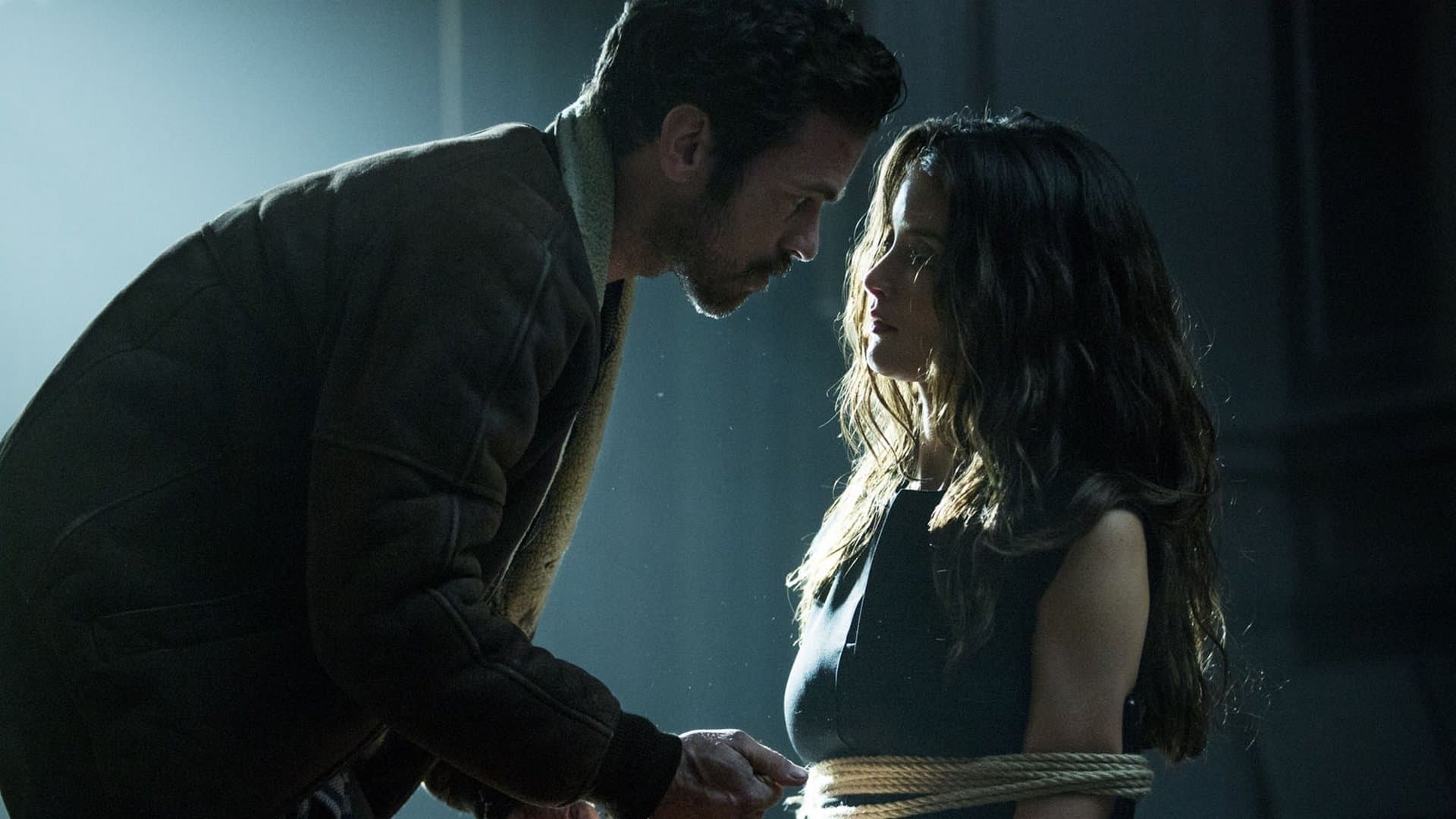 Backdrop of In the Shadow of Iris