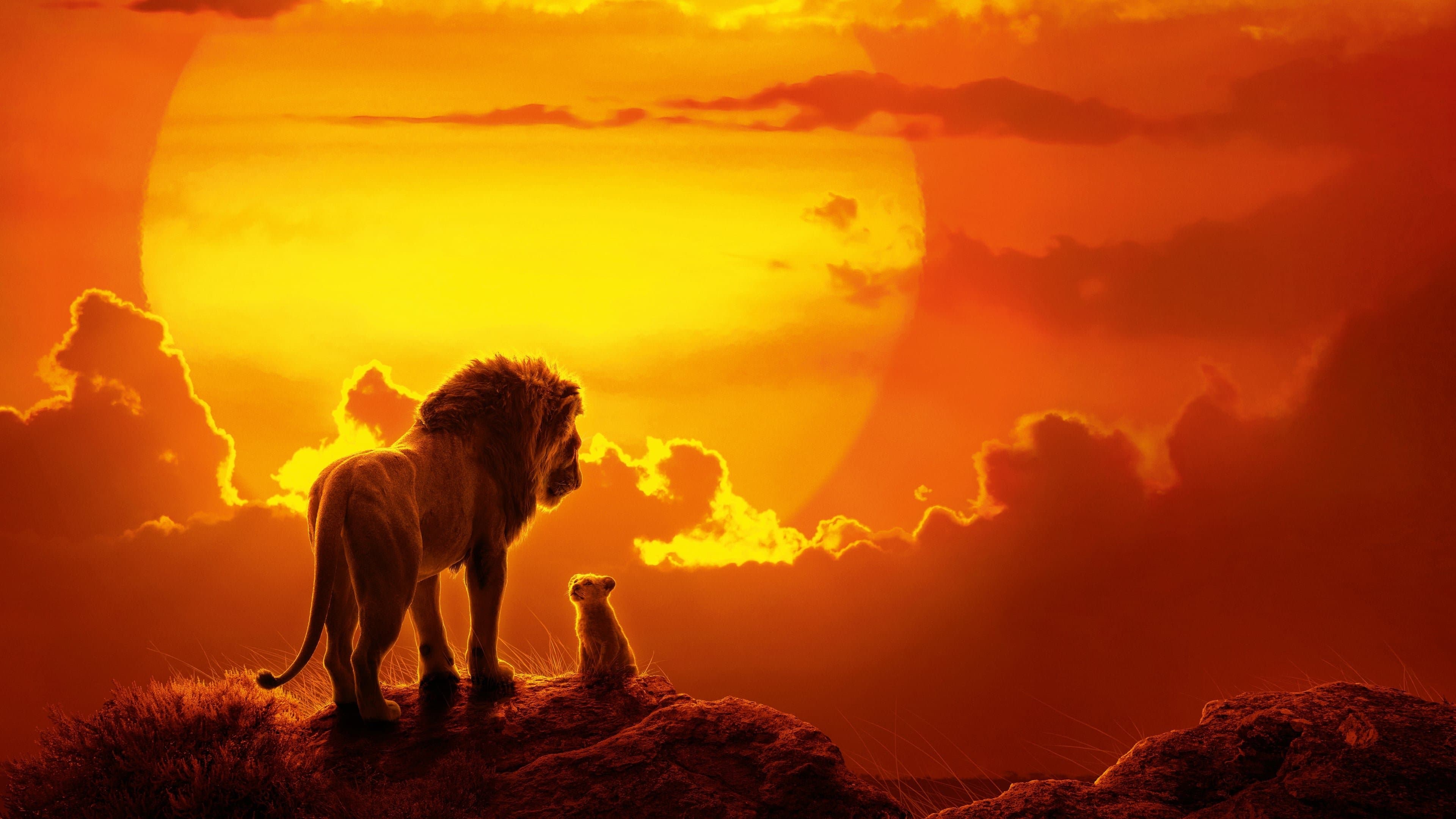 Backdrop of The Lion King (Reboot) Collection
