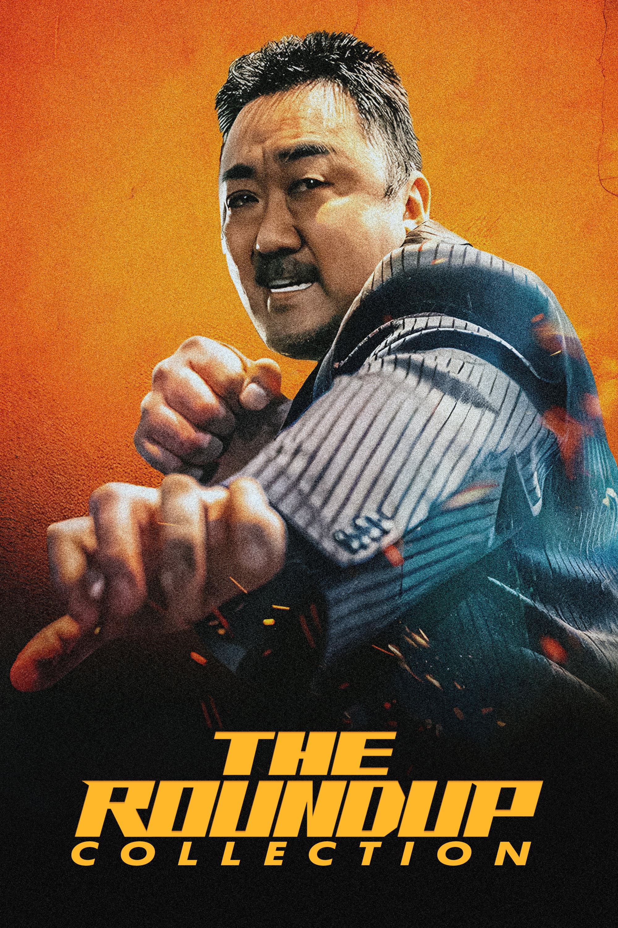 Poster of The Roundup Collection