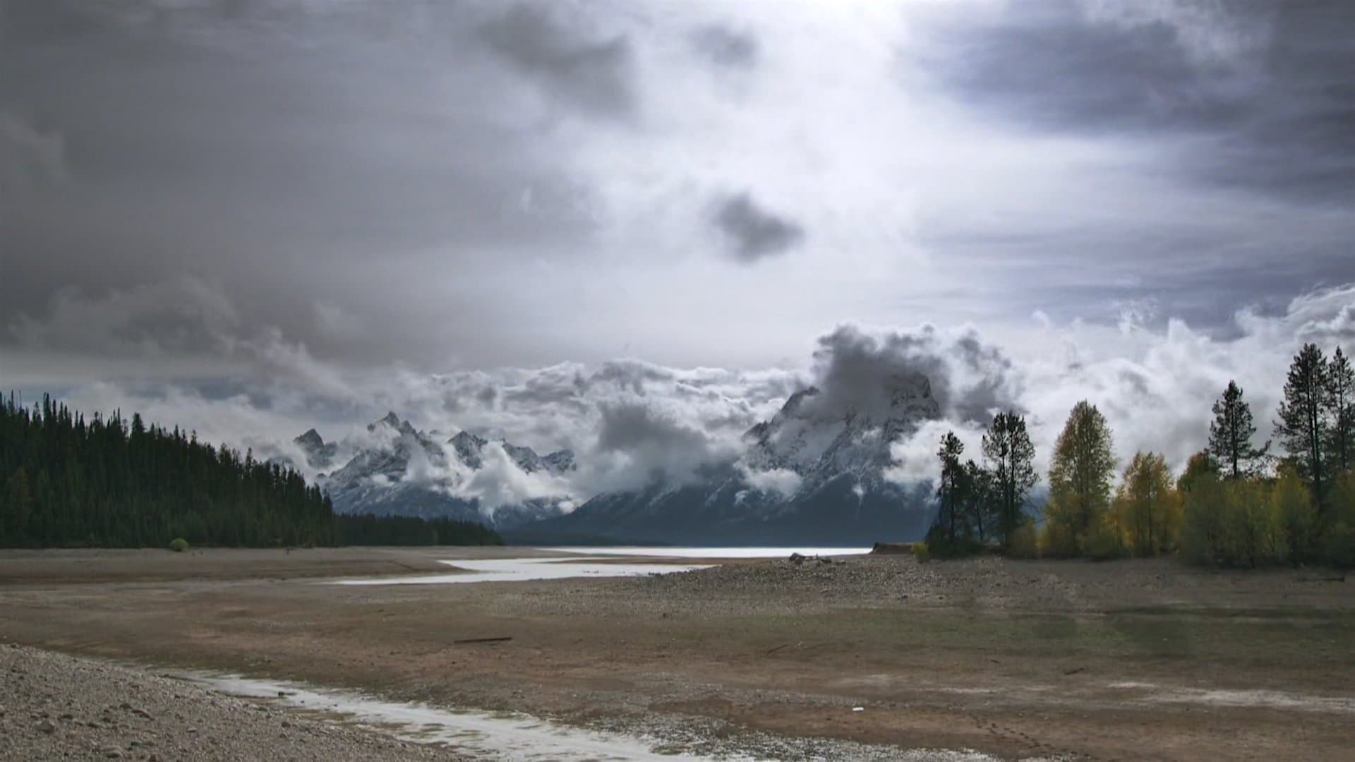 Backdrop of Population Zero