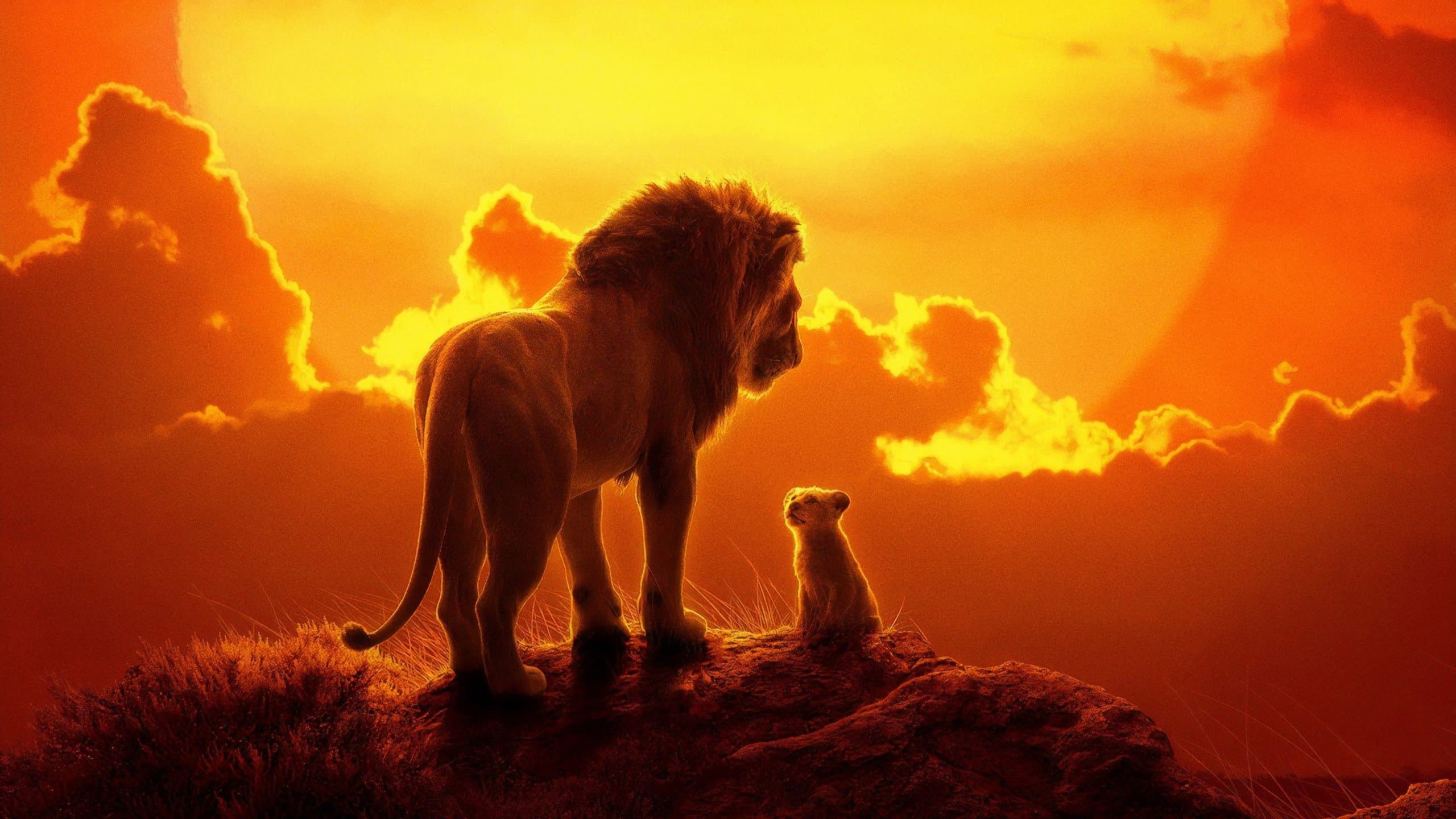Backdrop of The Lion King