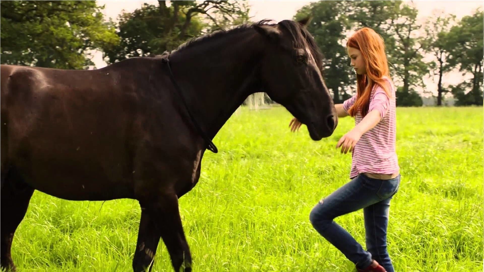 Backdrop of Windstorm Collection