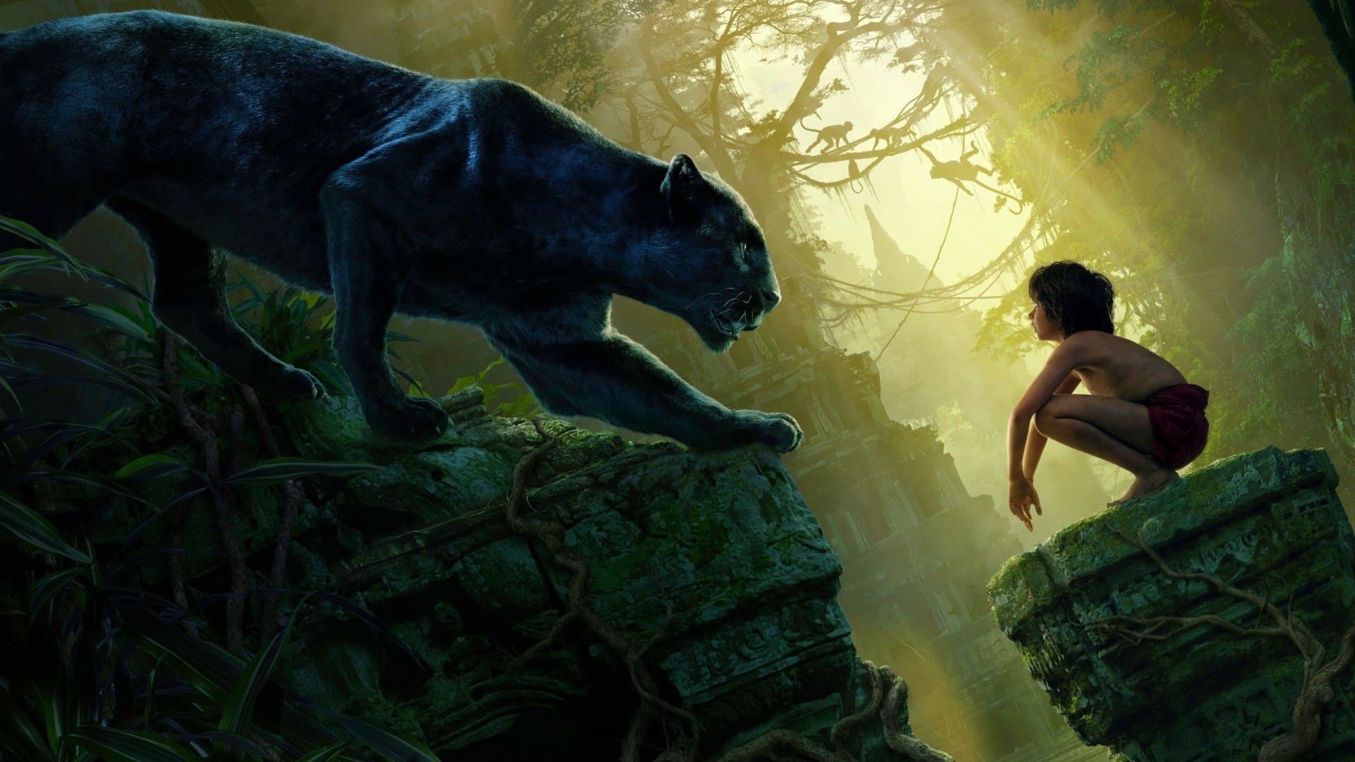 Backdrop of The Jungle Book