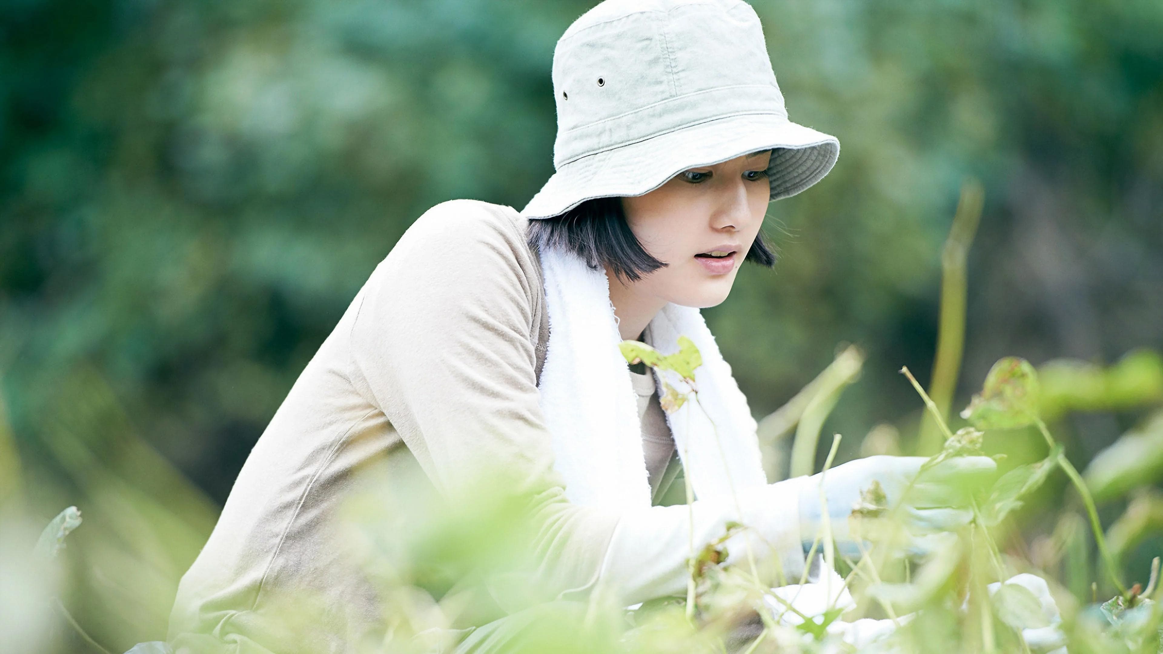 Backdrop of Little Forest: Summer/Autumn