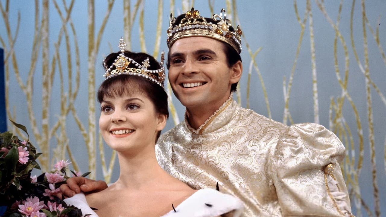 Backdrop of Cinderella