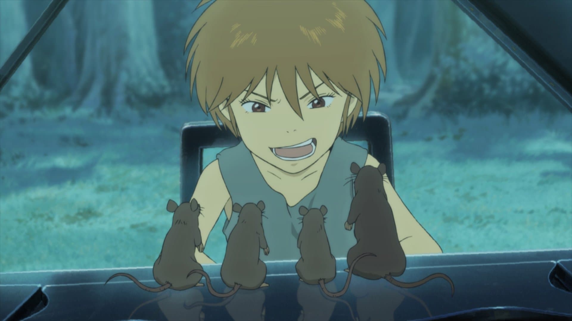 Backdrop of The Piano Forest