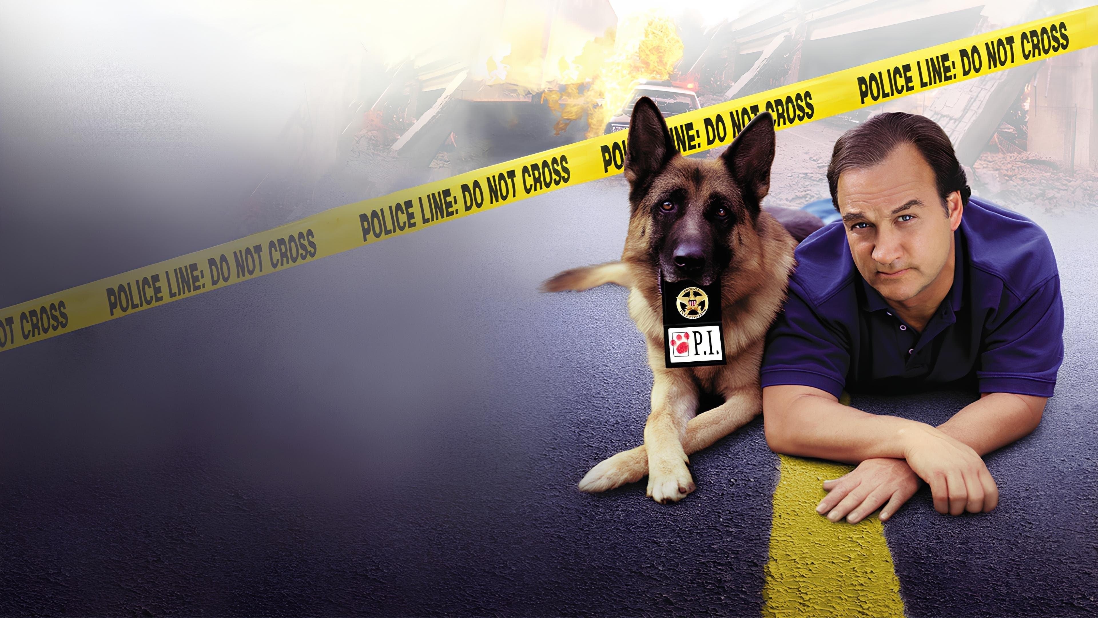 Backdrop of K-9: P.I.