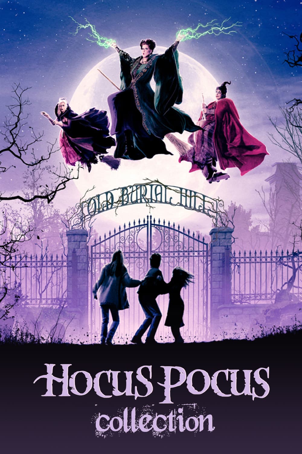 Poster of Hocus Pocus Collection
