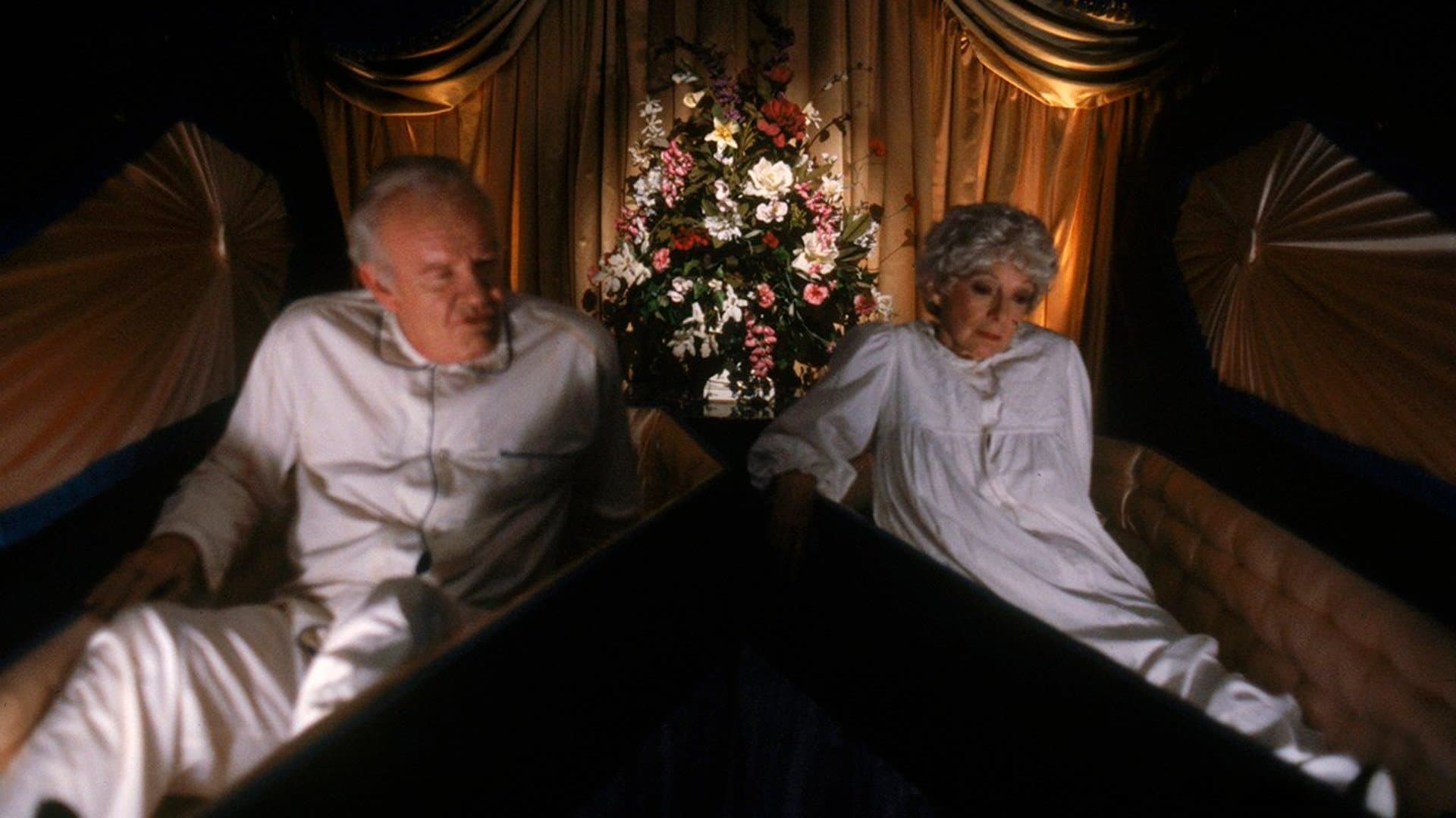 Backdrop of A Return to Salem's Lot