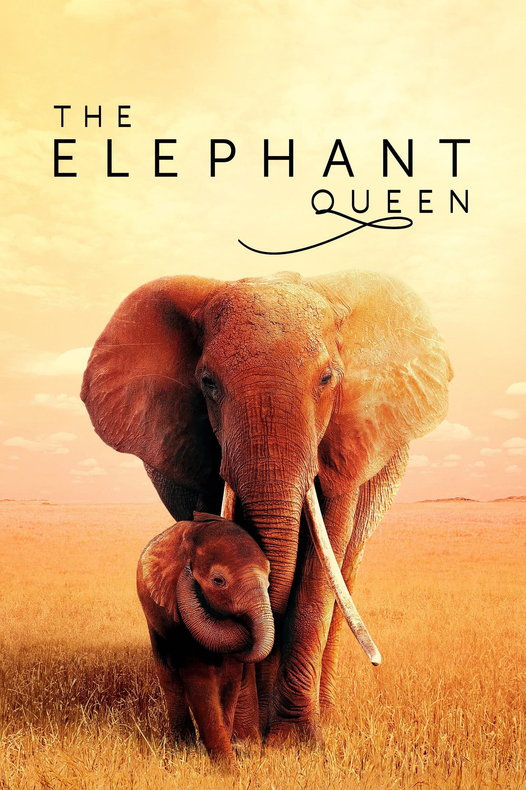 Poster of The Elephant Queen