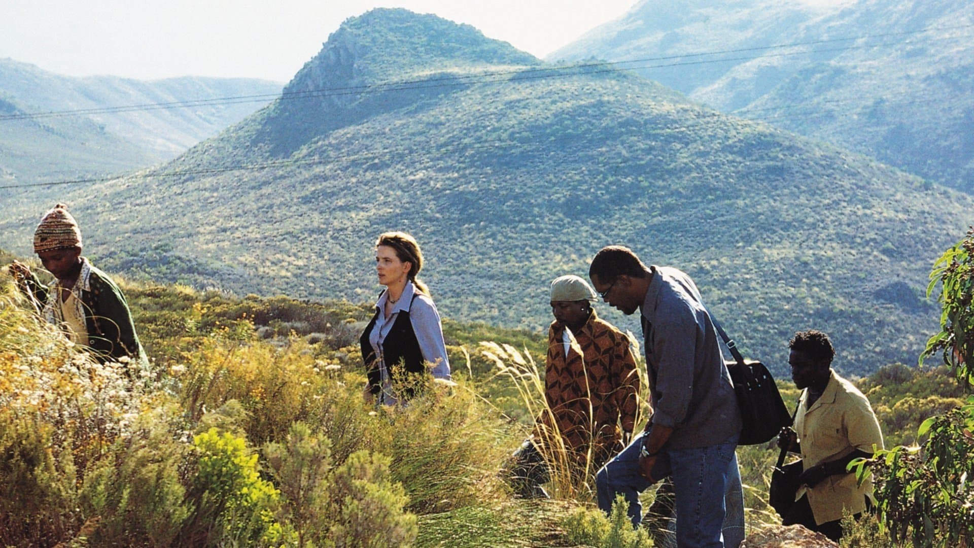 Backdrop of In My Country