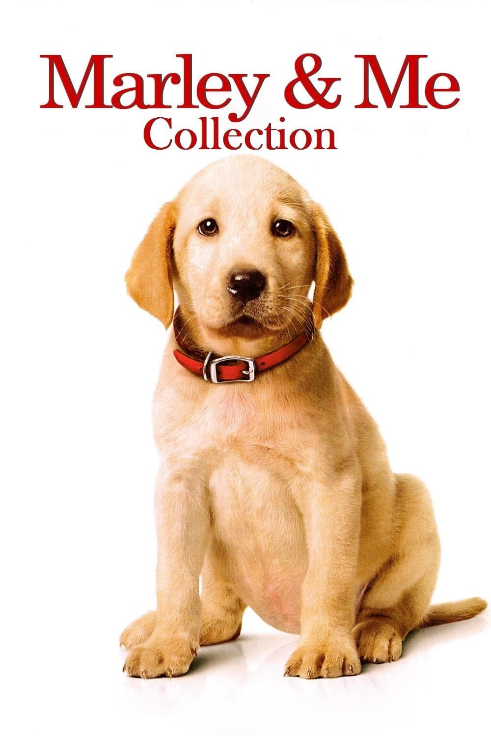 Poster of Marley & Me Collection