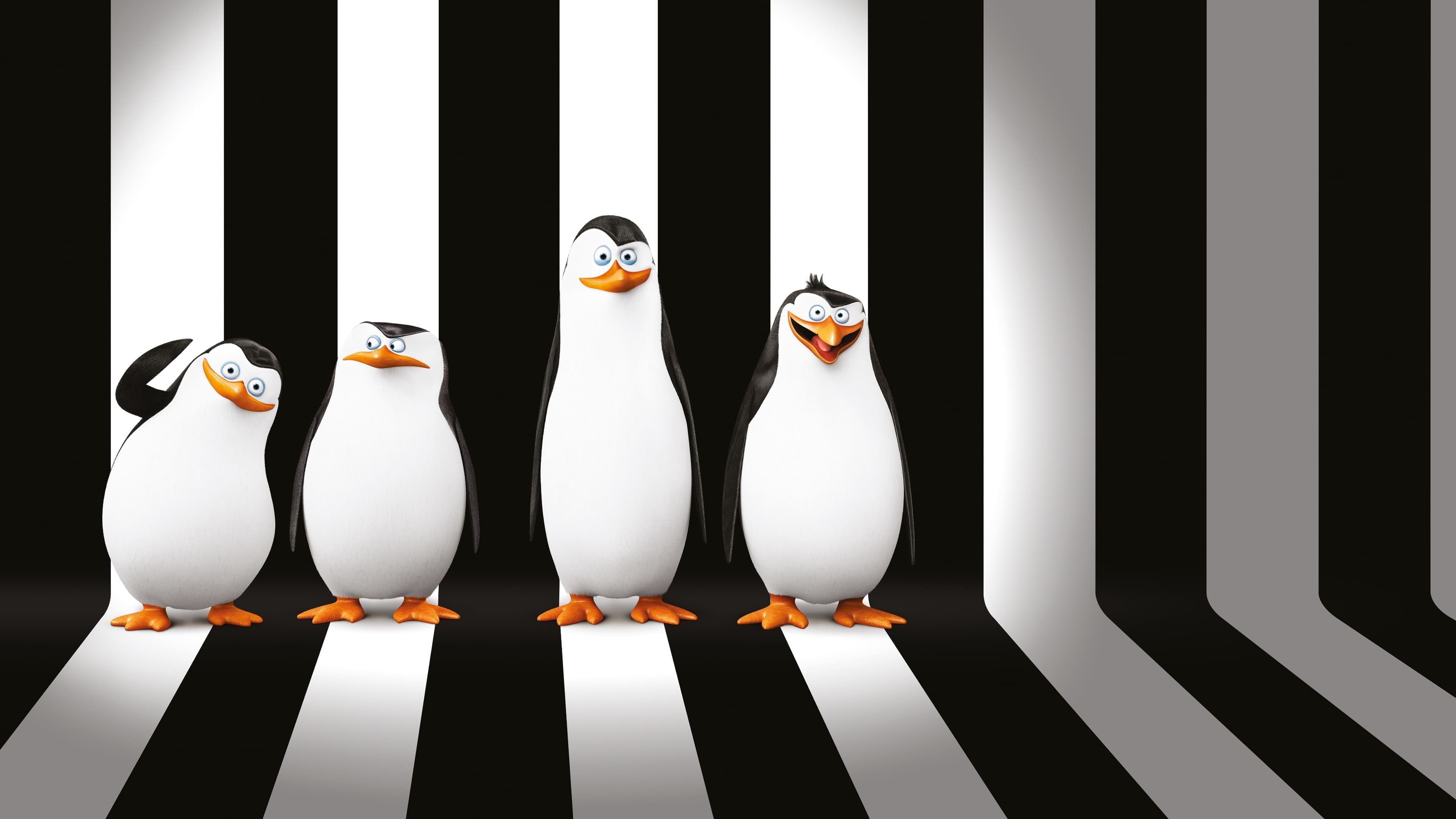 Backdrop of Penguins of Madagascar