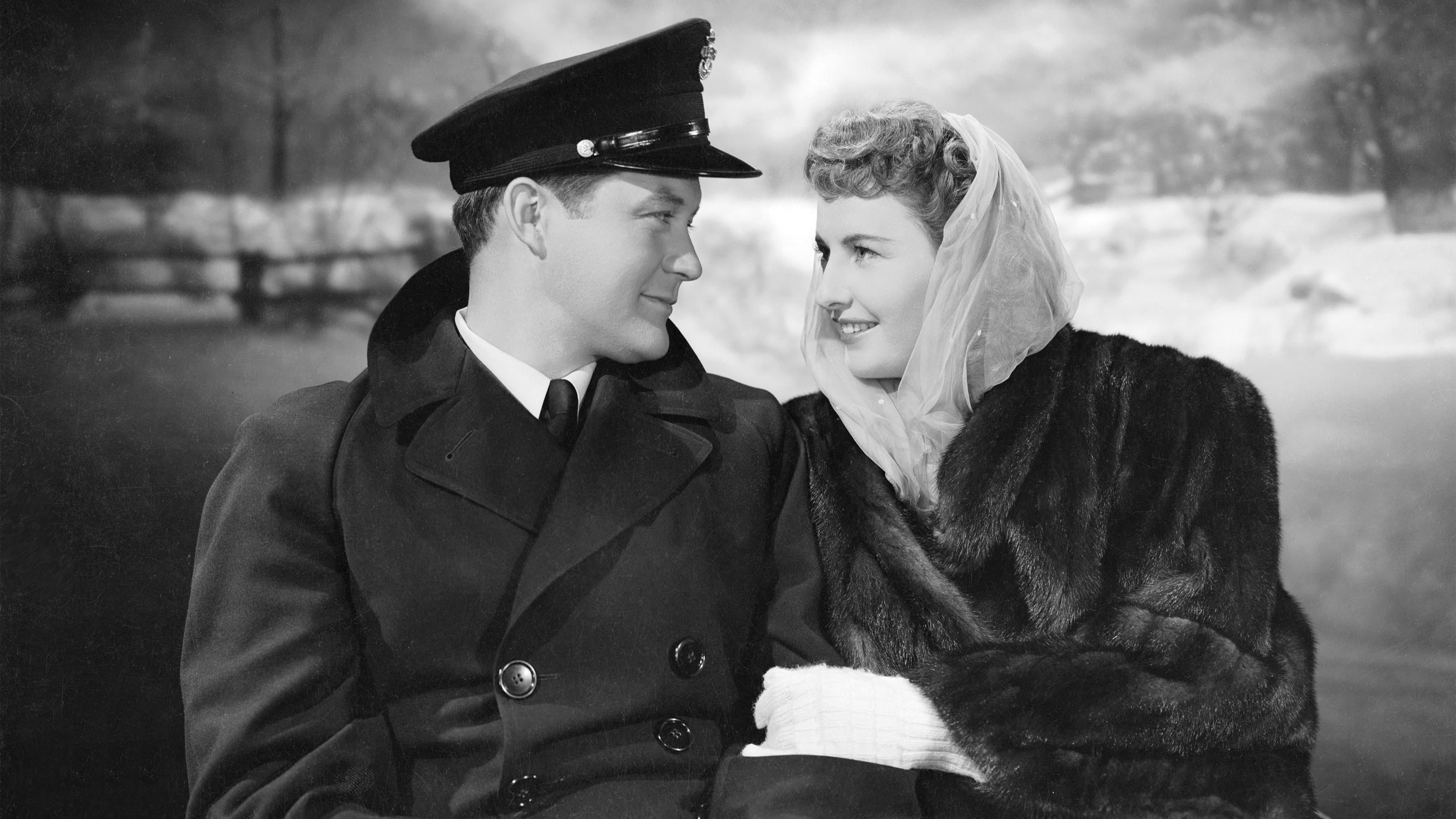 Backdrop of Christmas in Connecticut