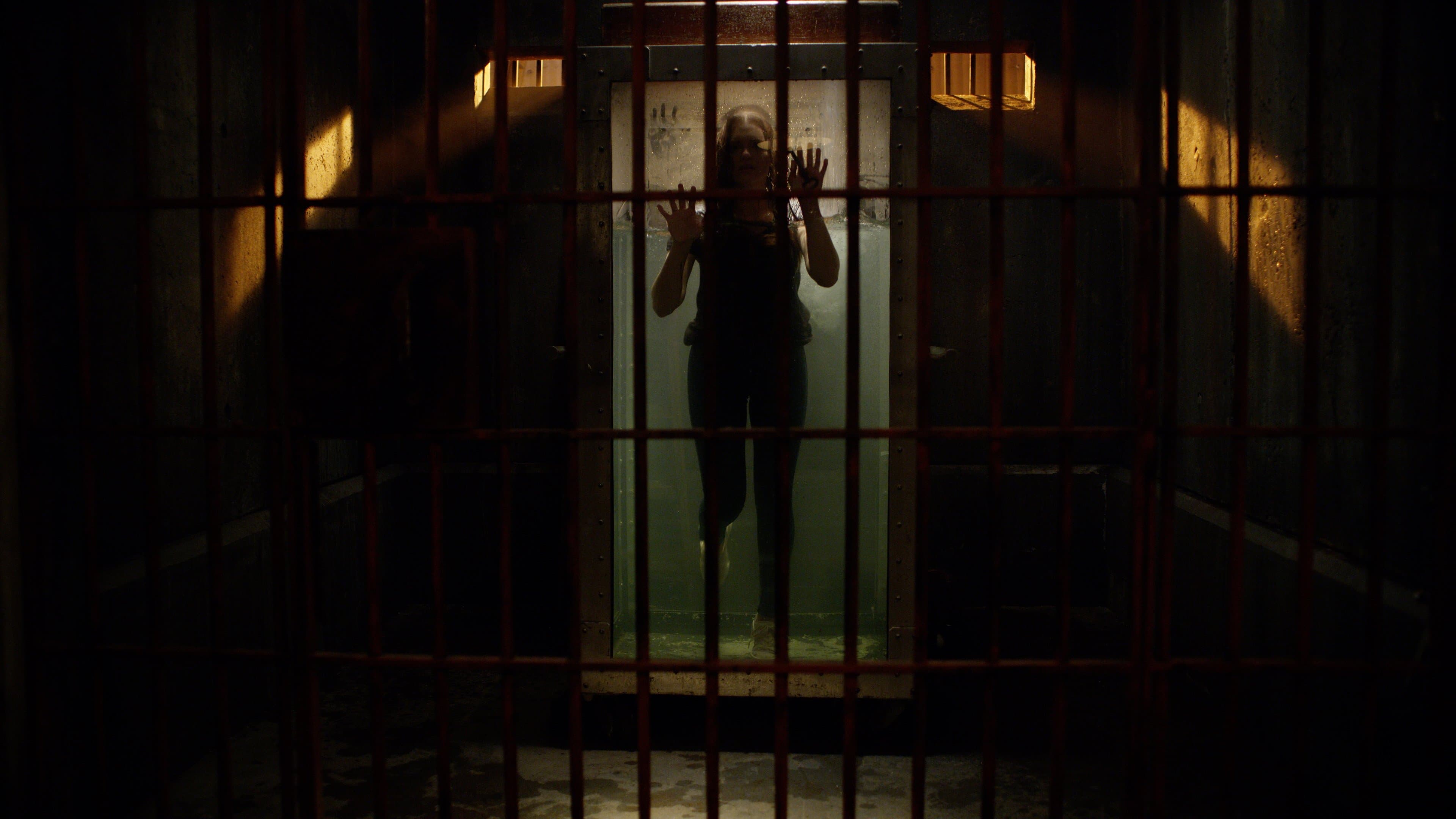 Backdrop of Follow Me