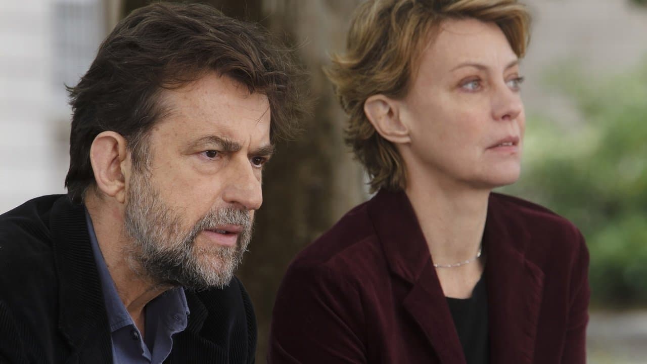 Backdrop of Mia madre
