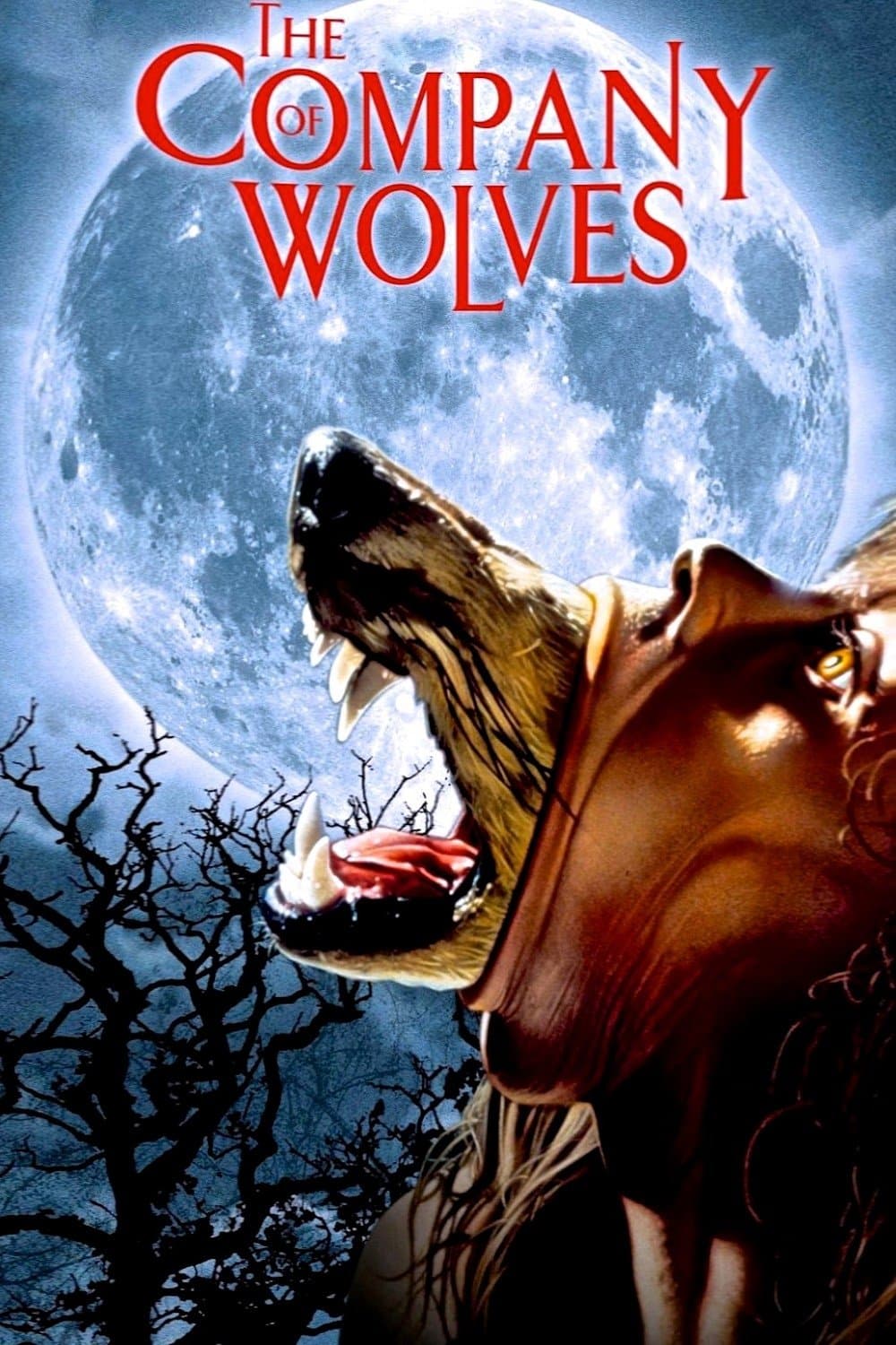 Poster of The Company of Wolves