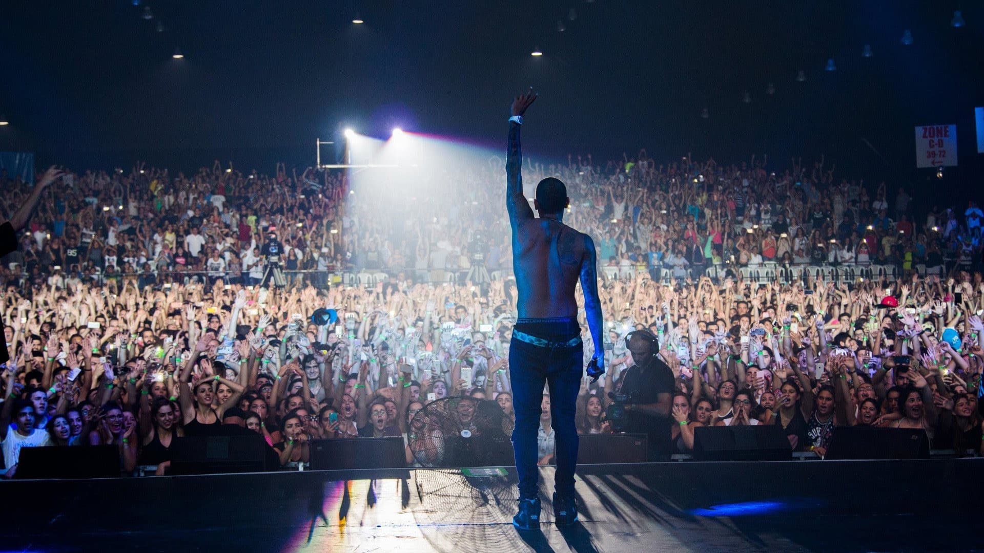 Backdrop of Chris Brown: Welcome to My Life