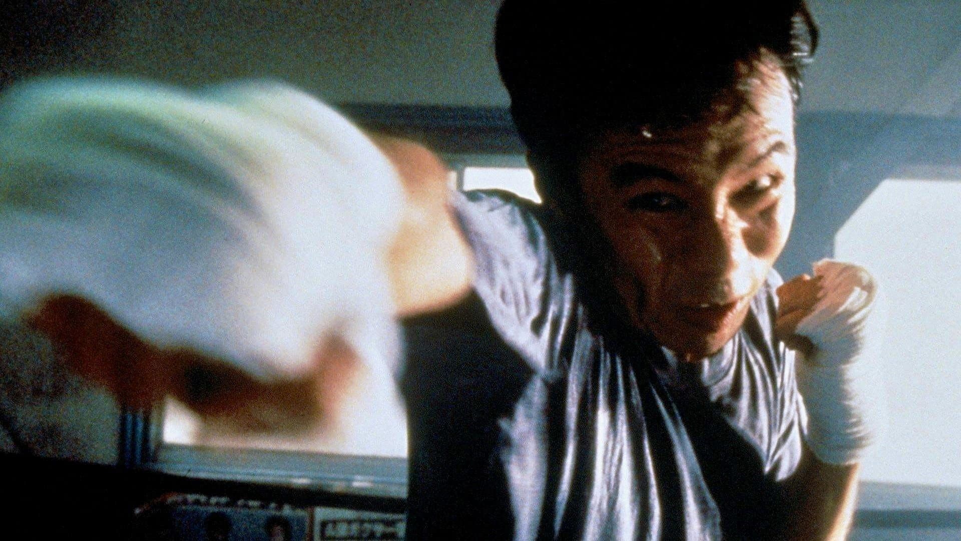 Backdrop of Tokyo Fist