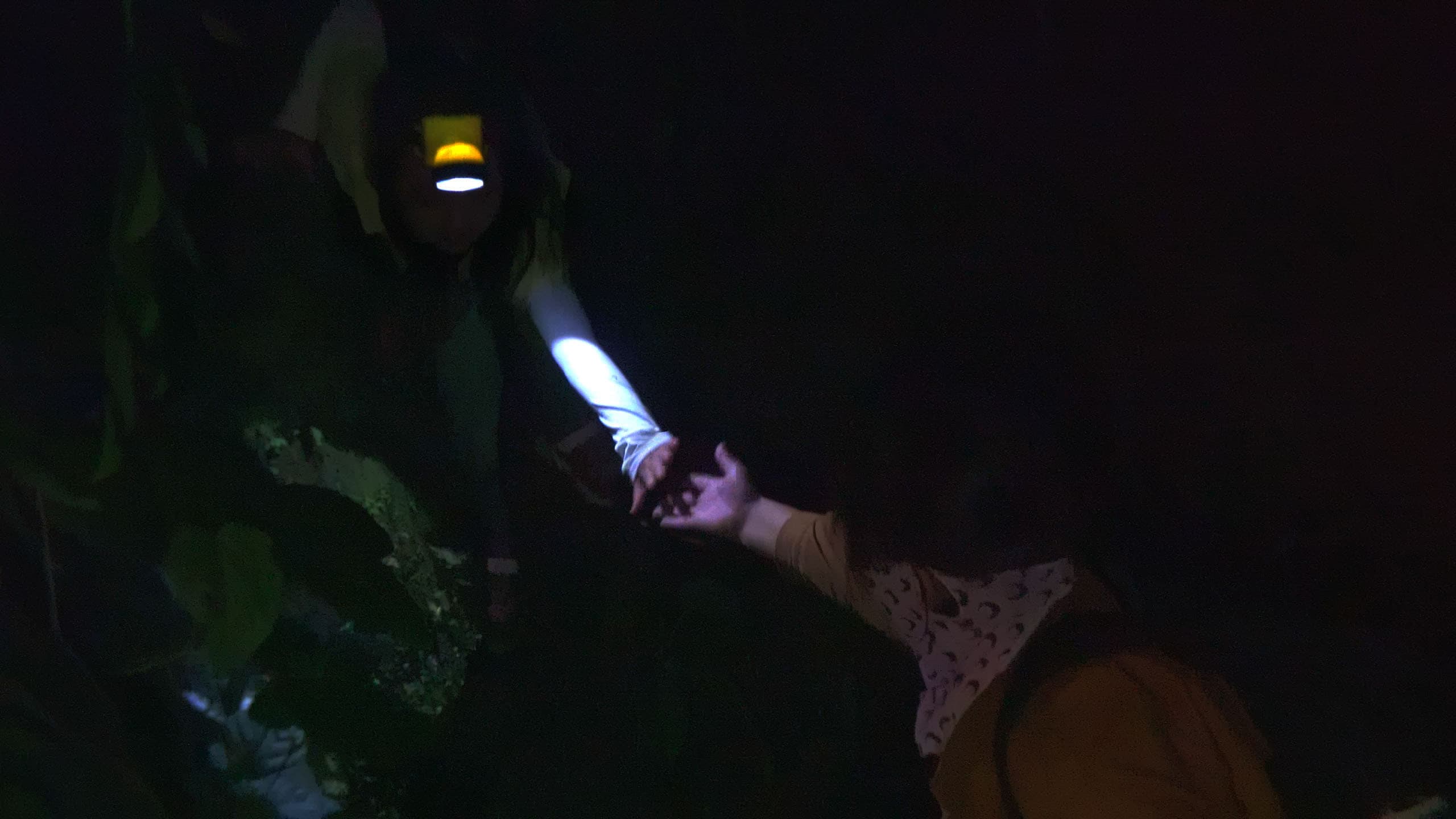 Backdrop of Beyond Utopia