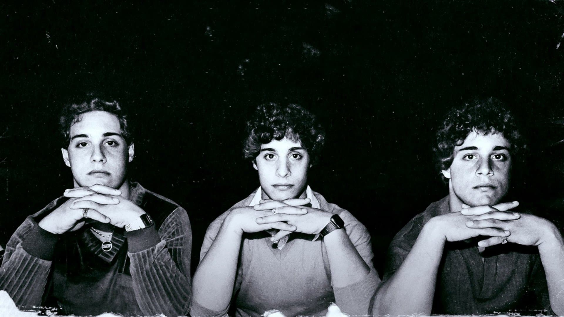 Backdrop of Three Identical Strangers