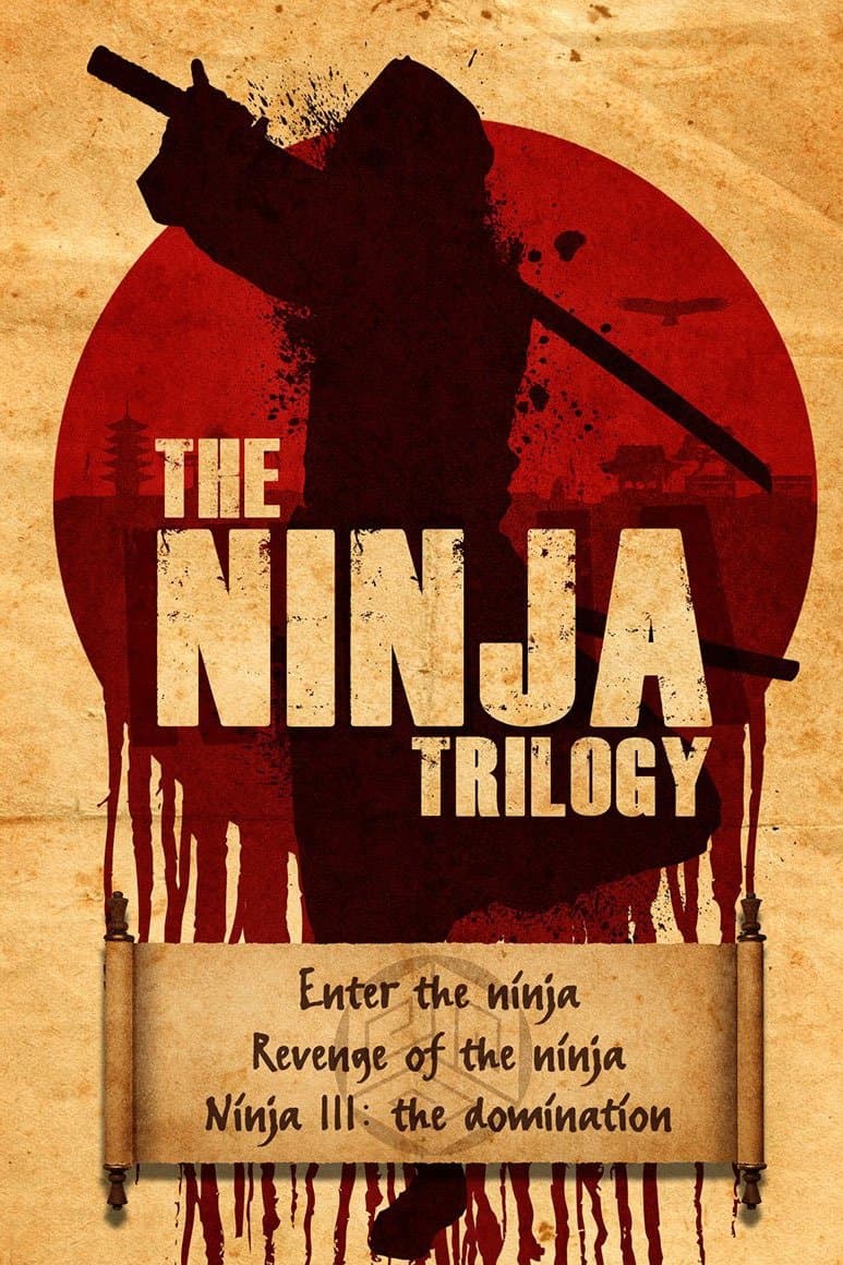 Poster of The Ninja Trilogy