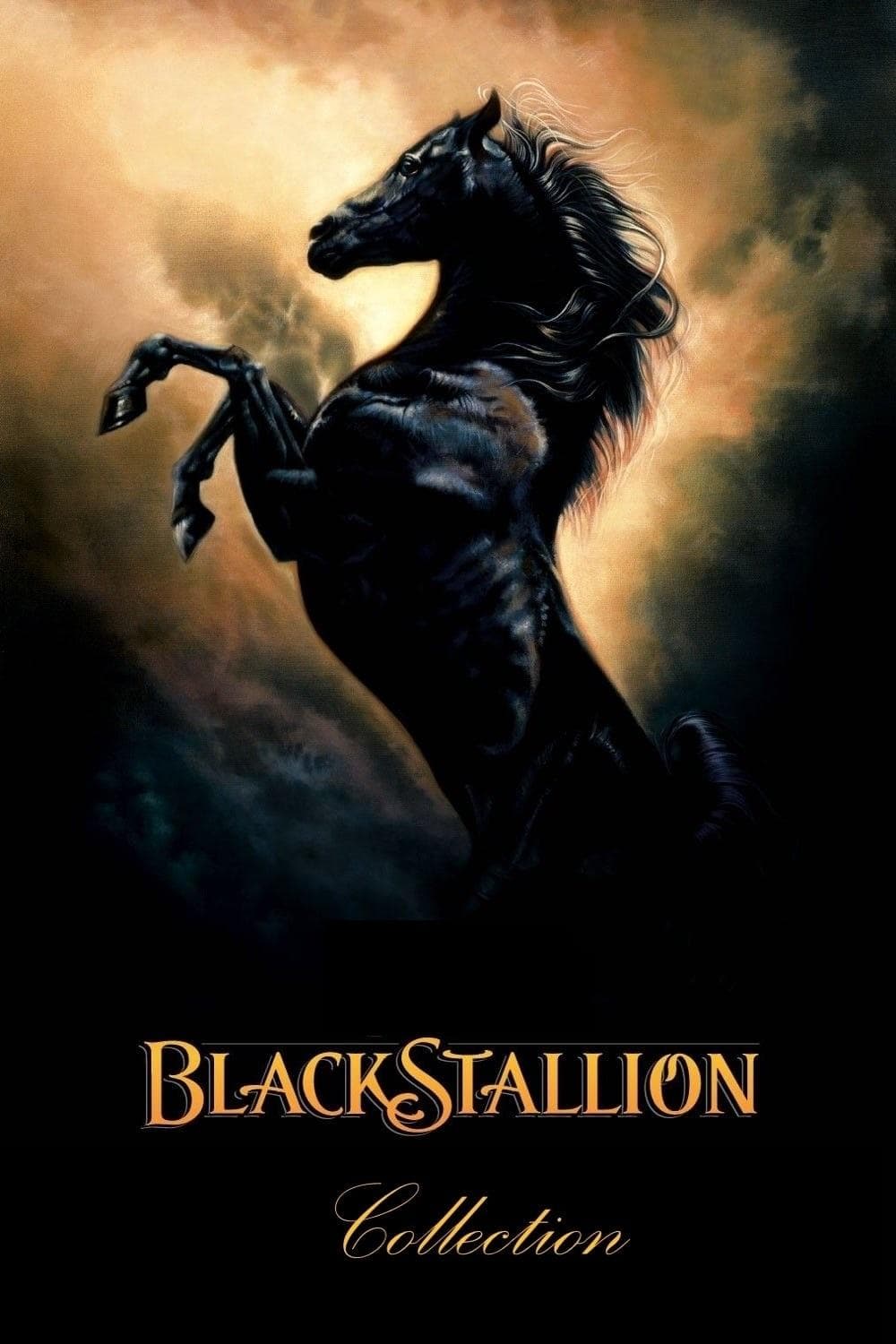 Poster of The Black Stallion Collection