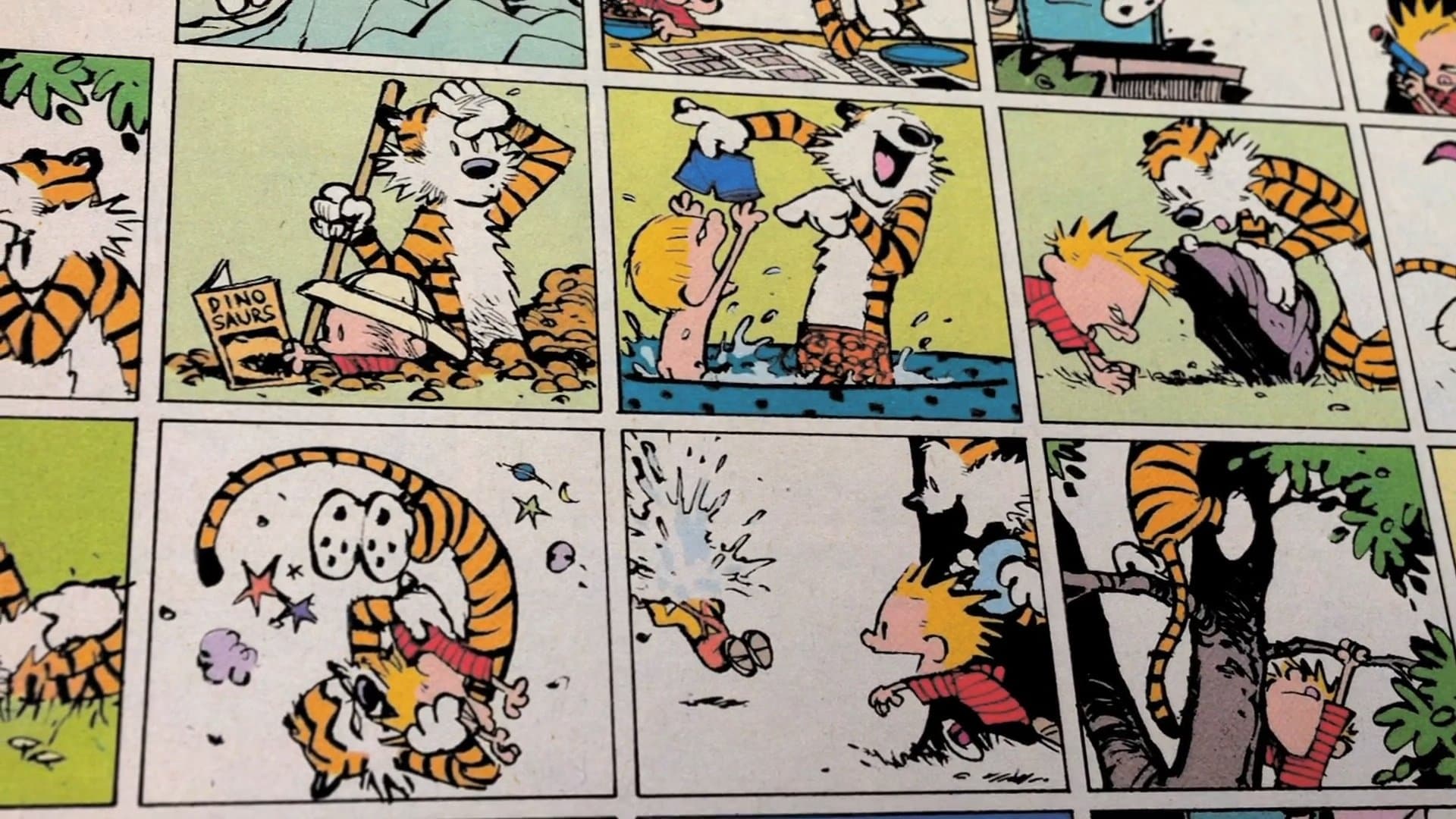 Backdrop of Dear Mr. Watterson
