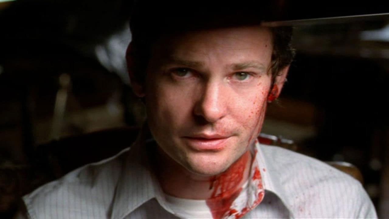 Backdrop of Chocolate