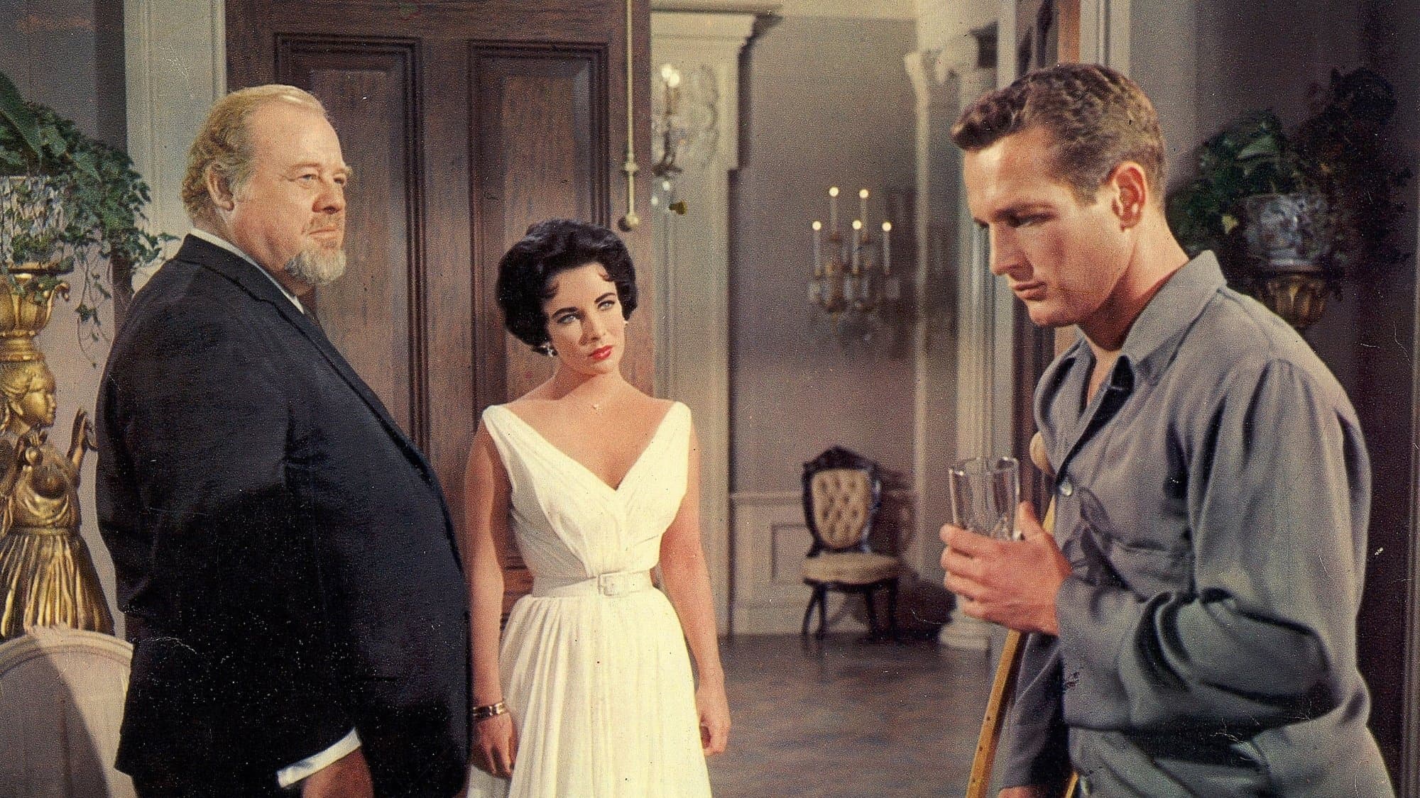 Backdrop of Cat on a Hot Tin Roof