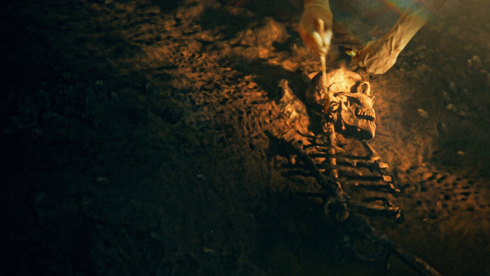 Backdrop of Secrets of the Neanderthals