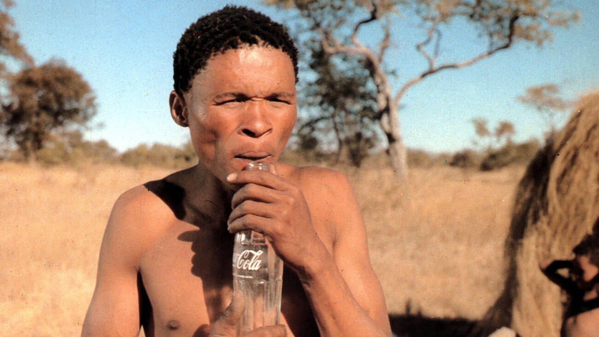 Backdrop of The Gods Must Be Crazy