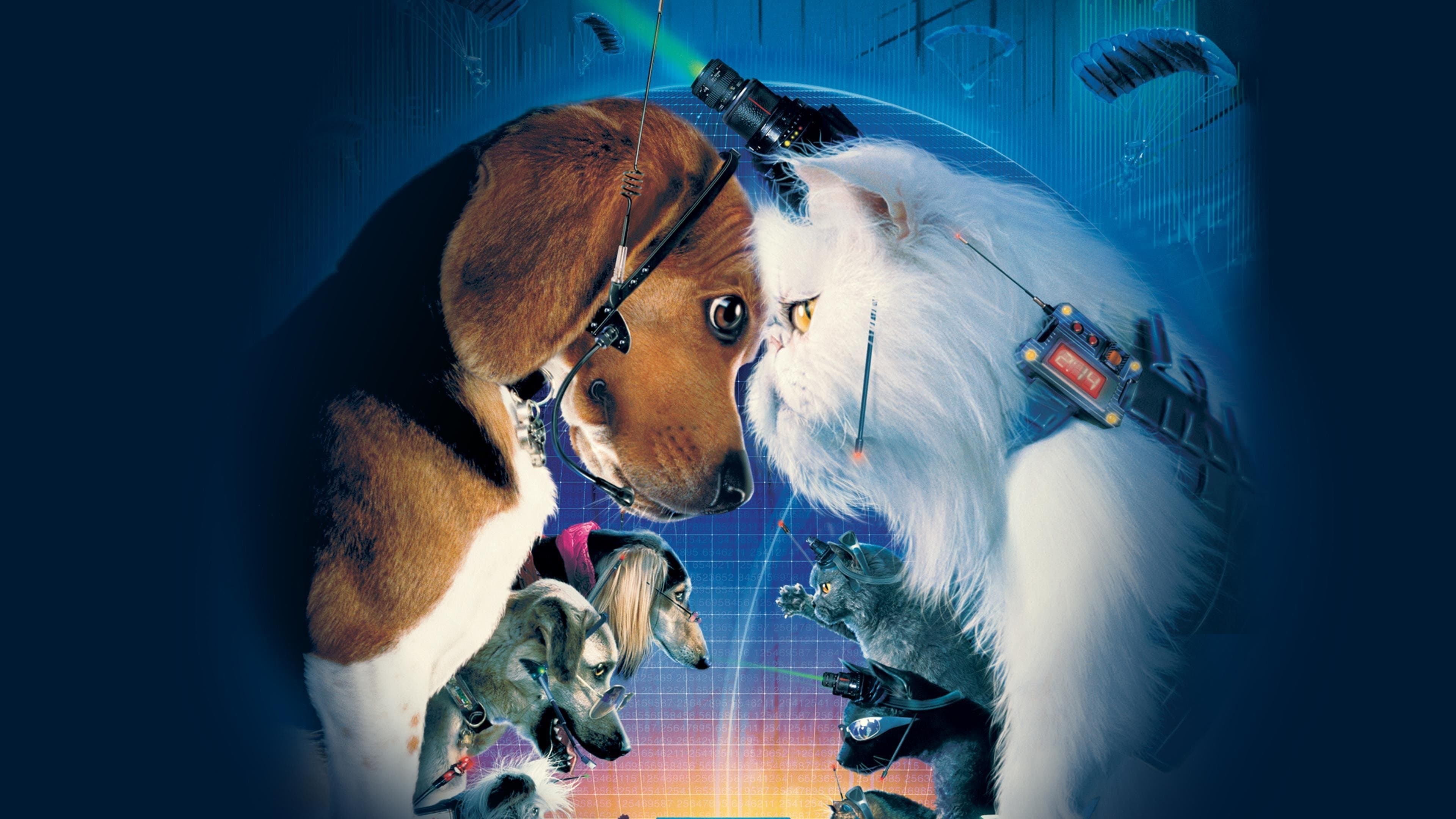 Backdrop of Cats & Dogs