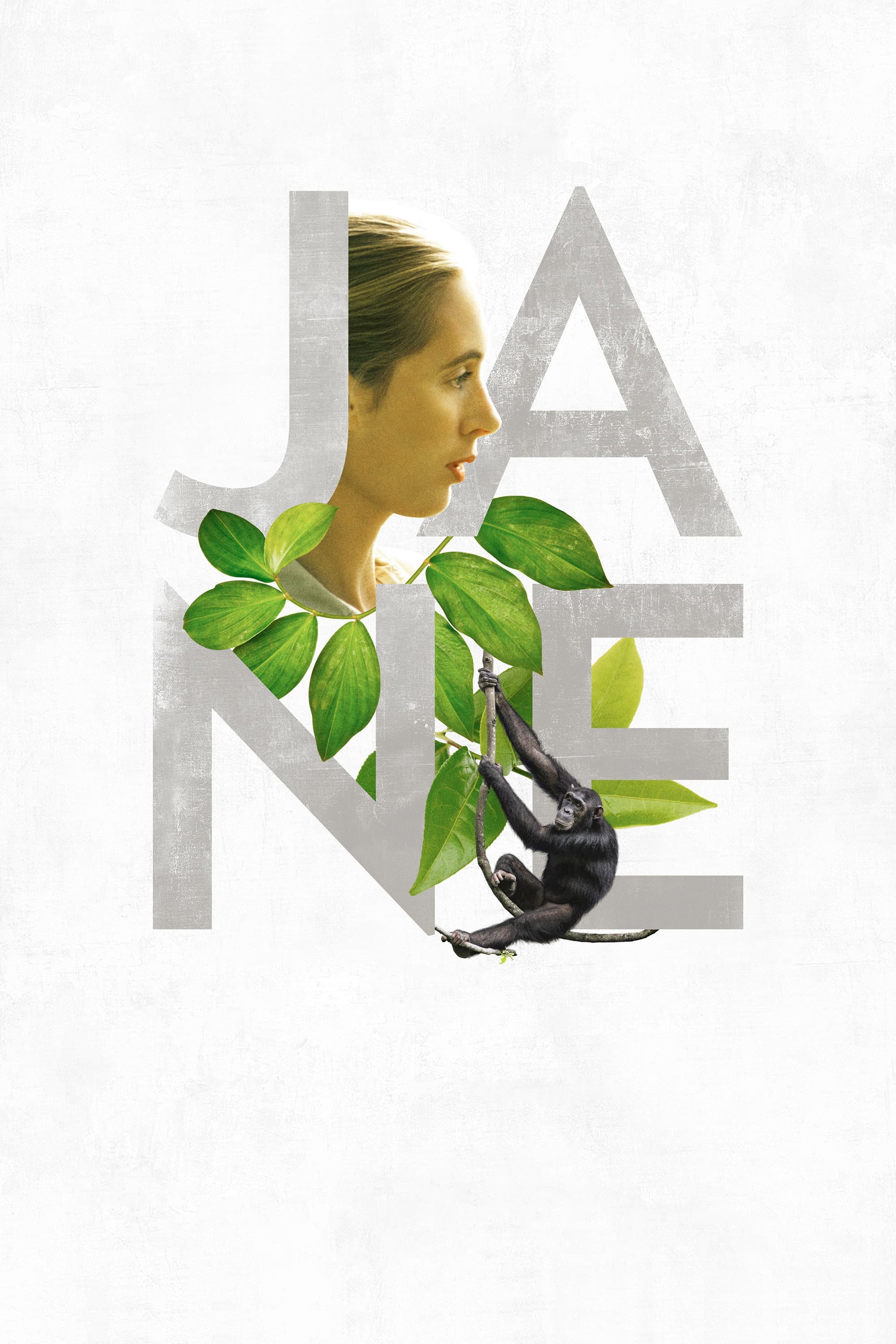 Poster of Jane