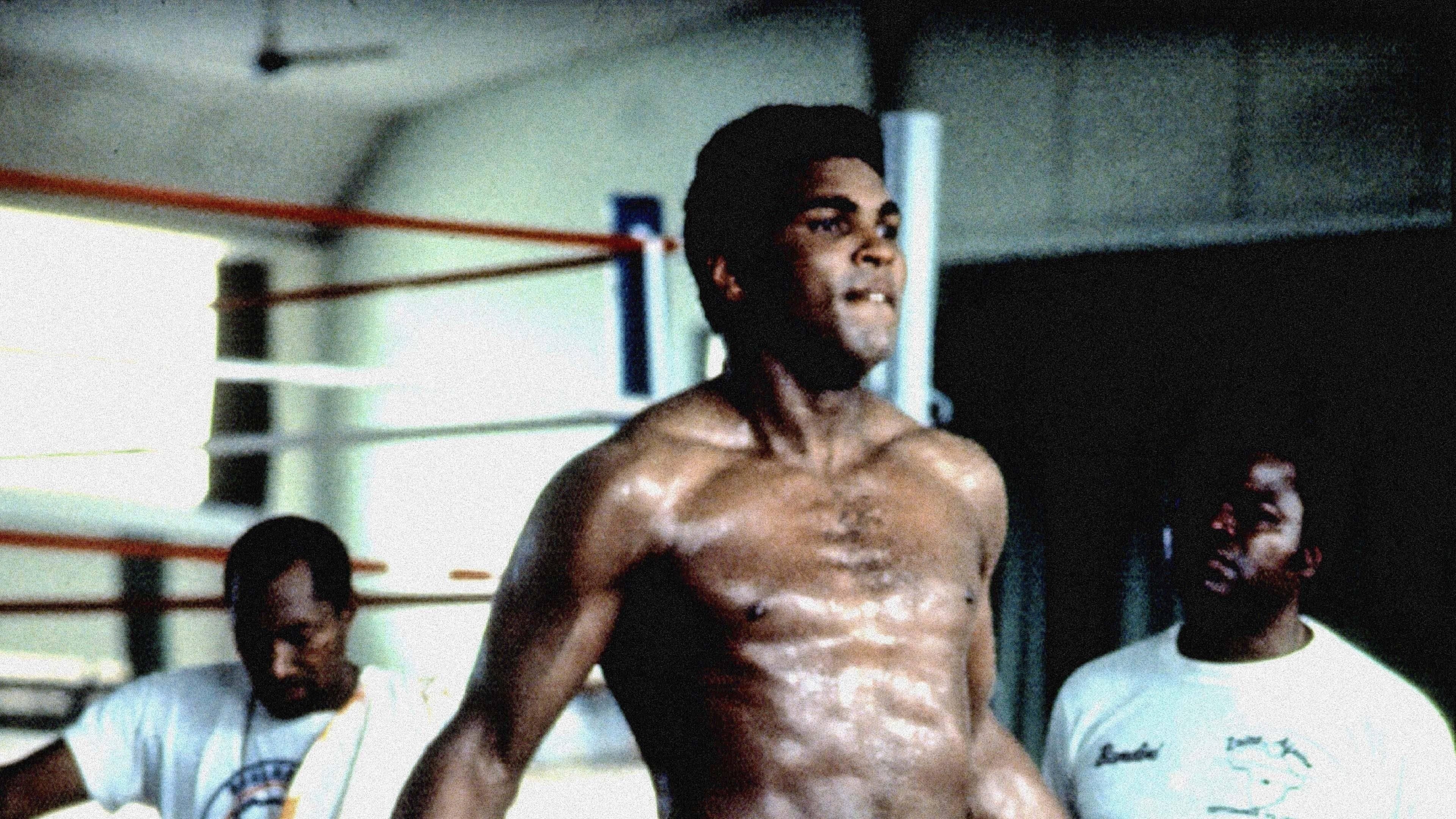 Backdrop of When We Were Kings