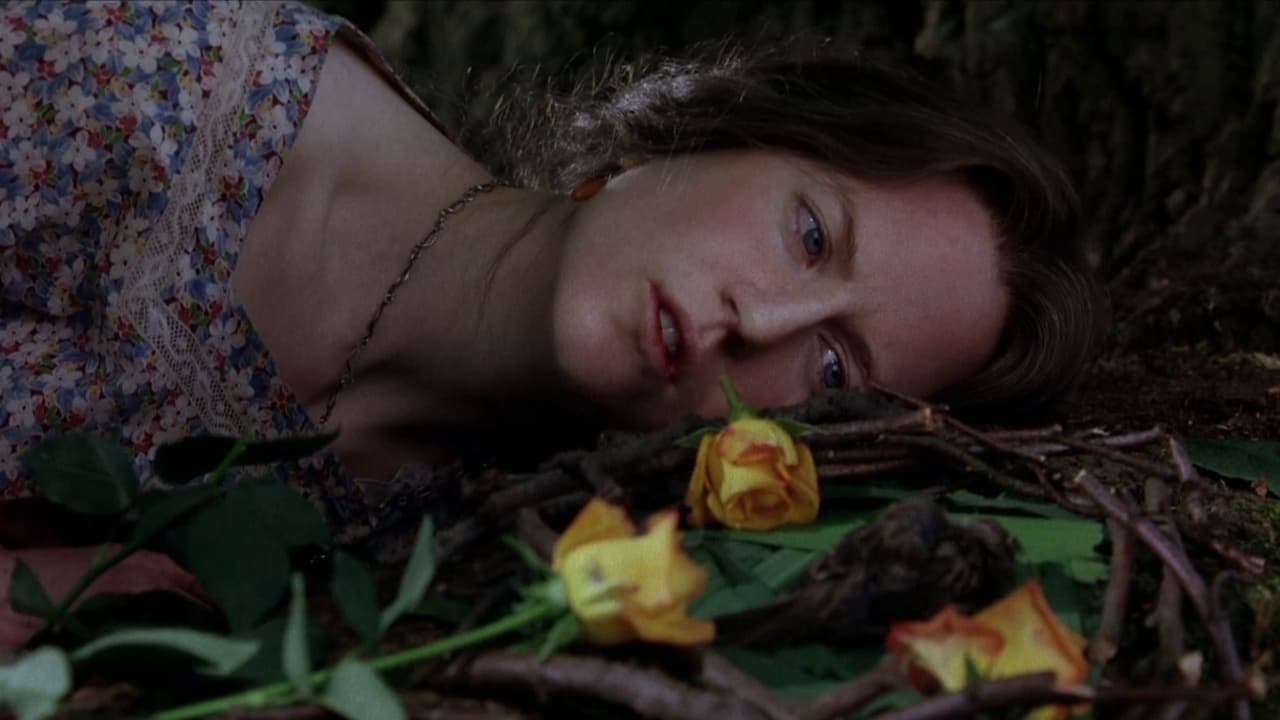 Backdrop of The Hours