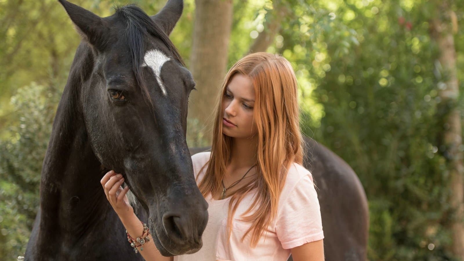 Backdrop of Windstorm 3