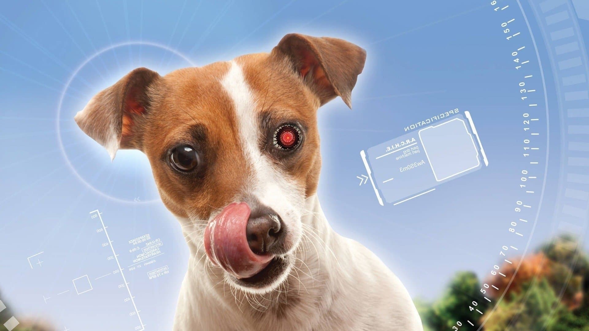 Backdrop of A.R.C.H.I.E. Collection