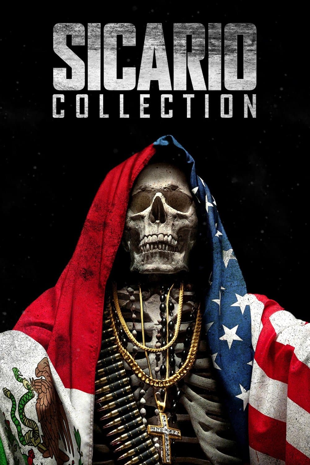 Poster of Sicario Collection