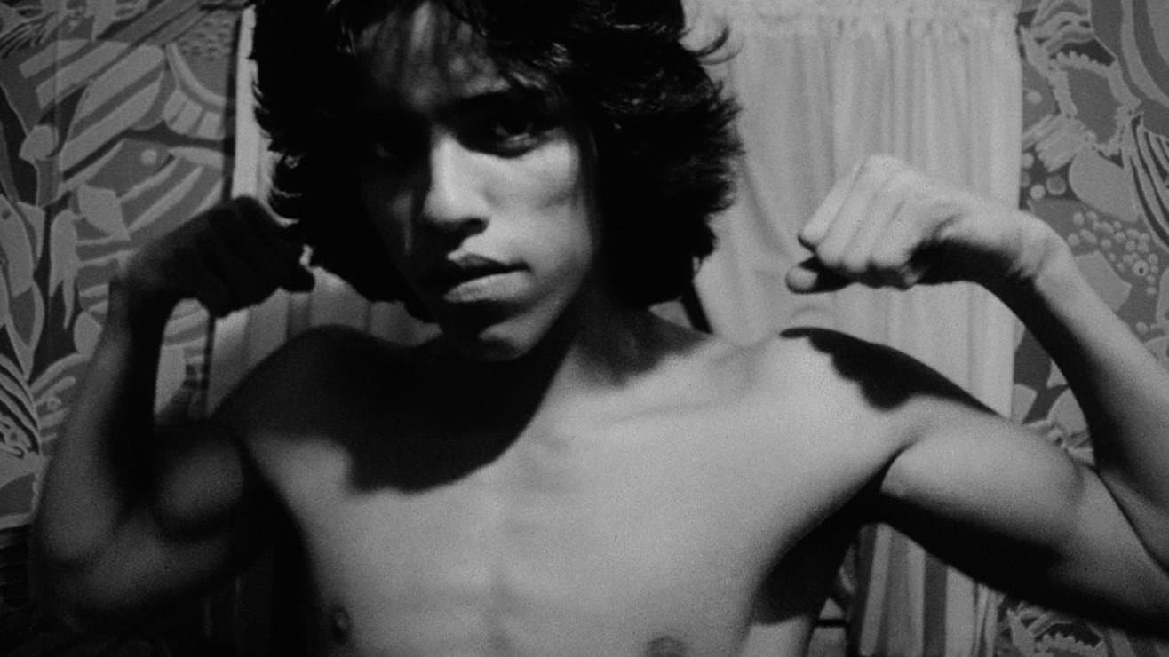 Backdrop of Mala Noche