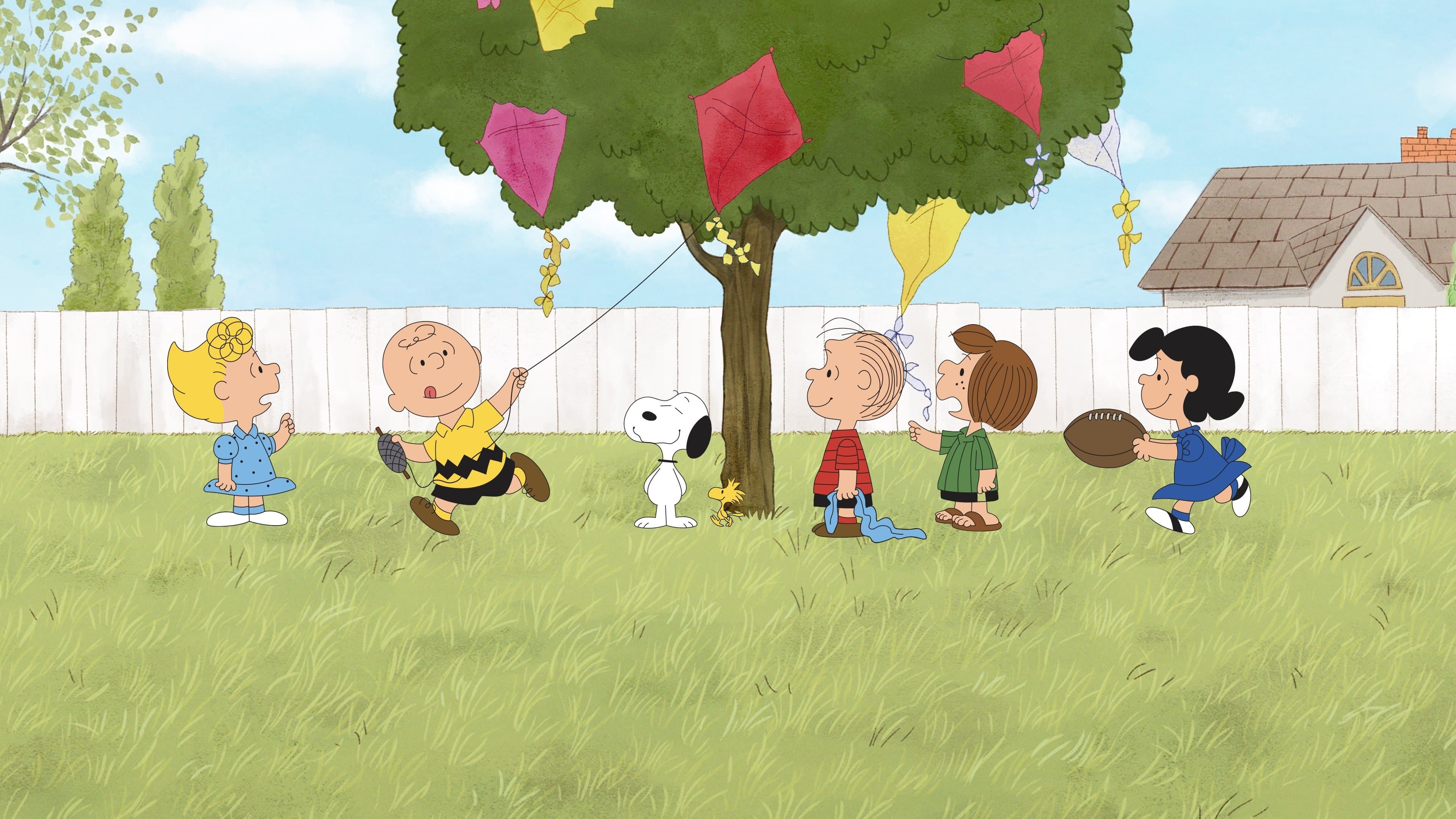 Backdrop of A Charlie Brown Celebration