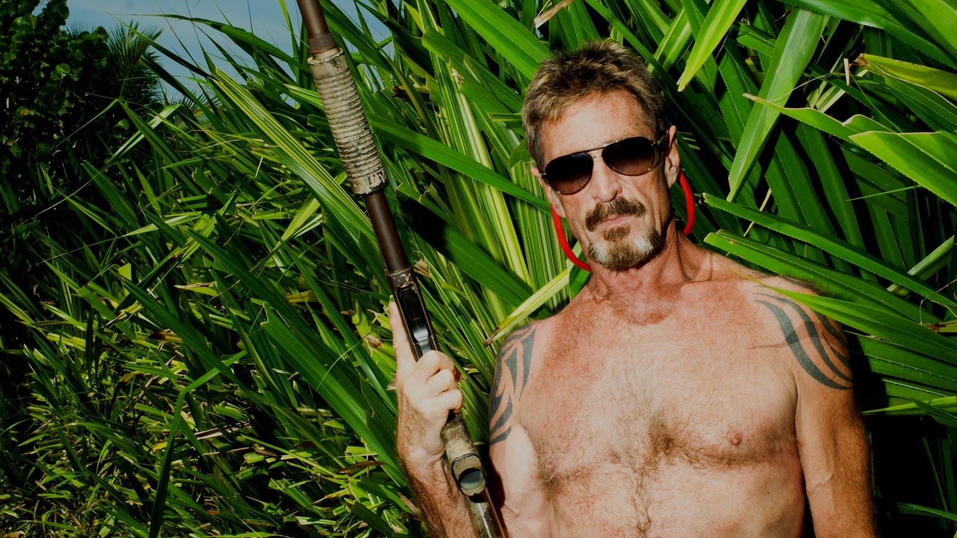 Backdrop of Gringo: The Dangerous Life of John McAfee