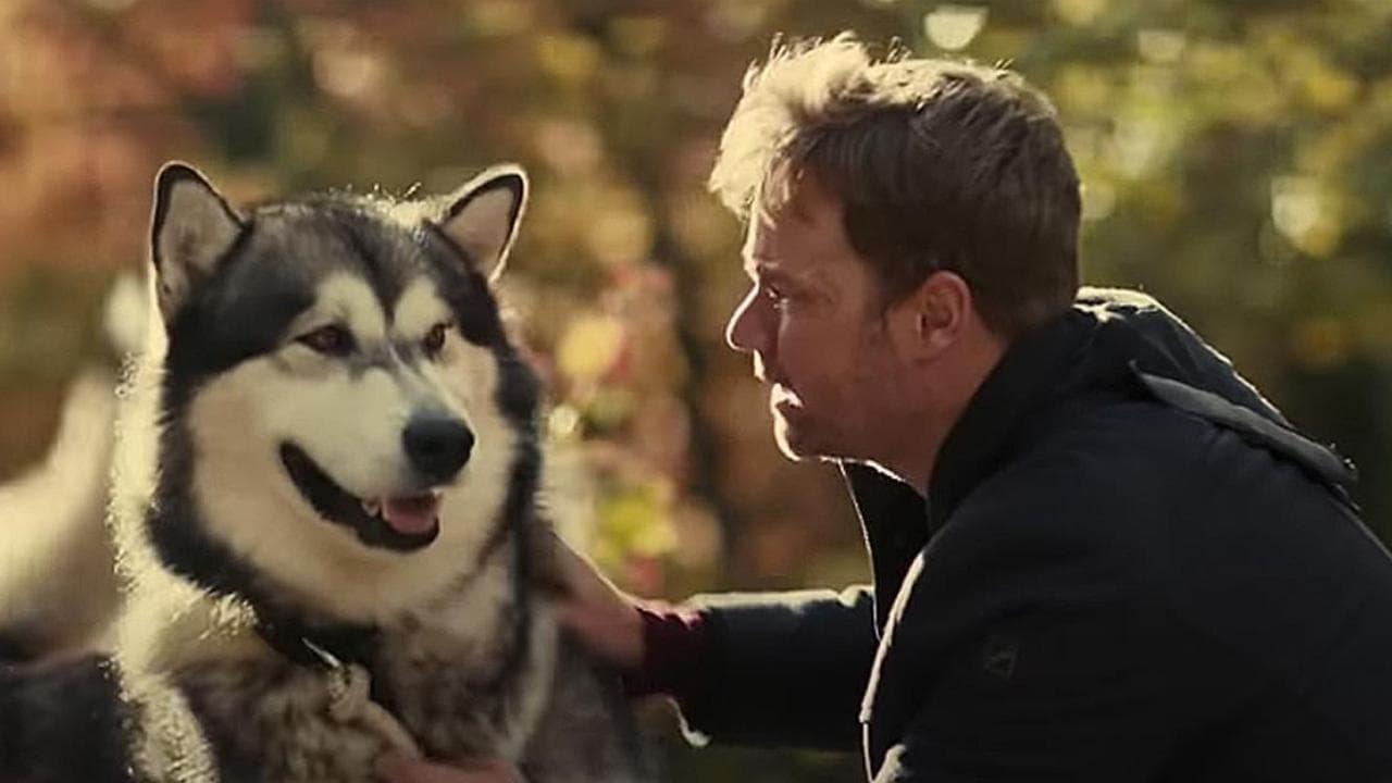 Backdrop of Hero Dog: The Journey Home