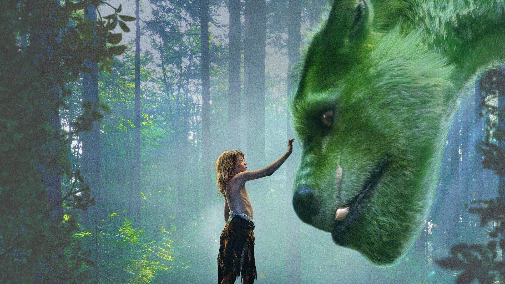 Backdrop of Pete's Dragon