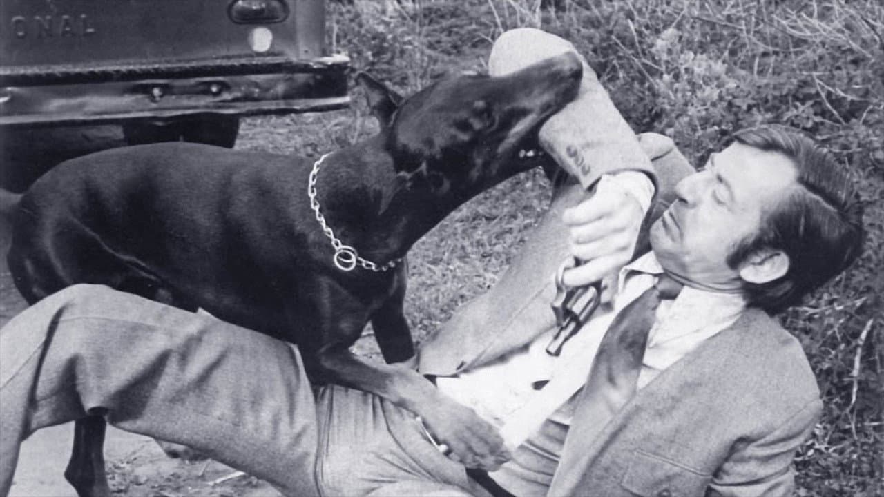 Backdrop of The Daring Dobermans