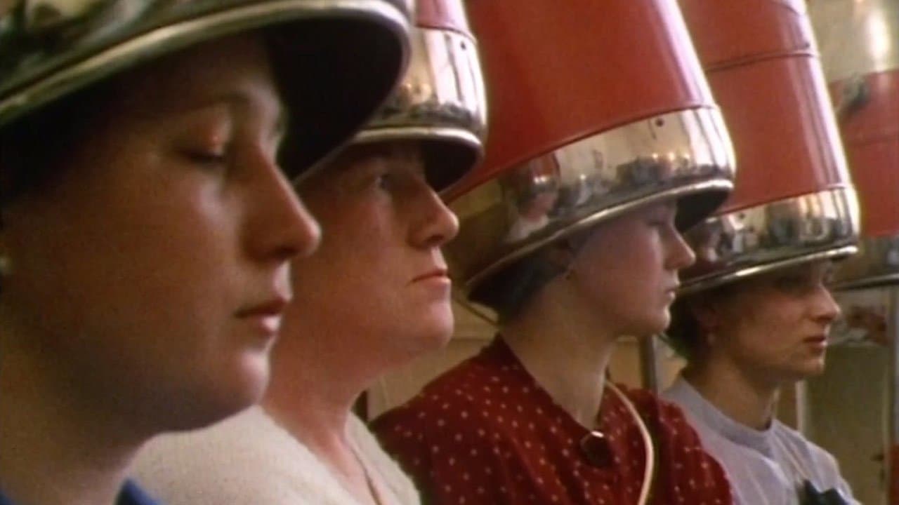 Backdrop of HyperNormalisation