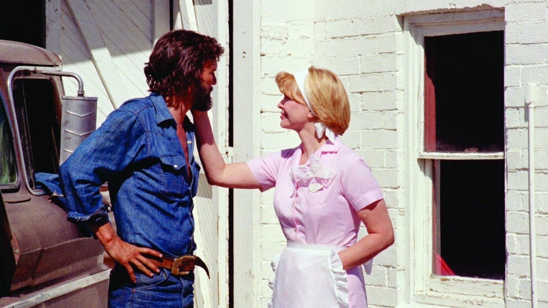 Backdrop of Alice Doesn't Live Here Anymore